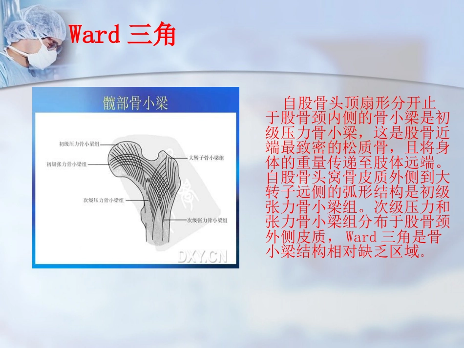 外科学：股骨转子间骨折的治疗：髓内or髓外_第6页