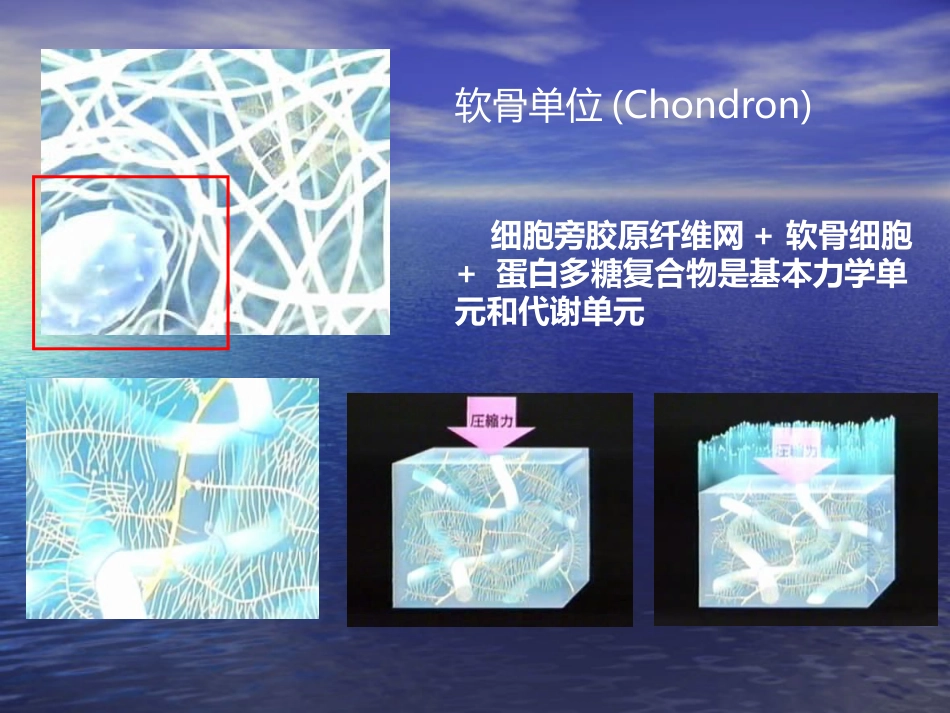 外科学：膝关节骨性关节炎的分级治疗_第15页