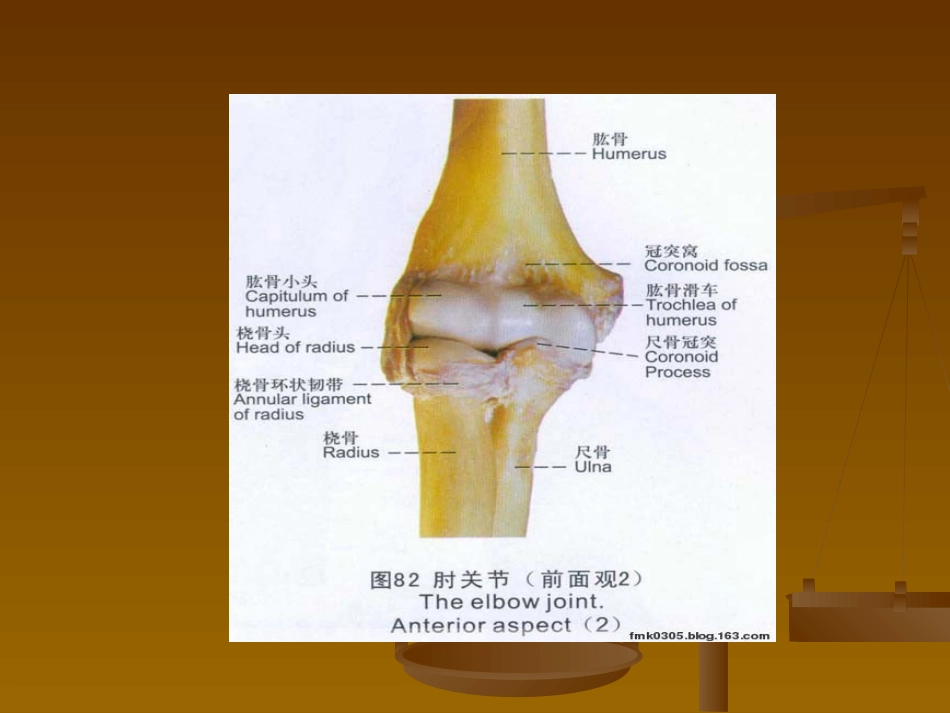 外科学：肘关节恐怖三联征._第4页