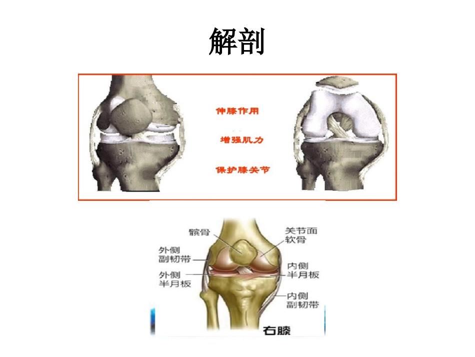 外科学：髌骨骨折_第2页