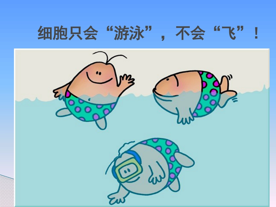临床医学伤口湿性愈合理论及临床应用_第14页