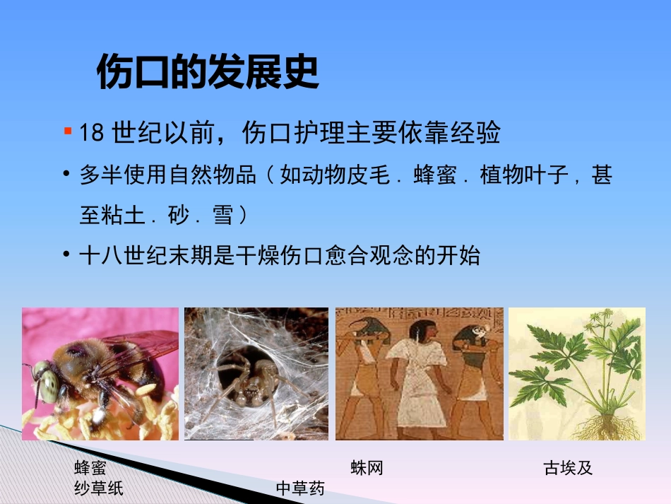 临床医学伤口湿性愈合理论及临床应用_第6页