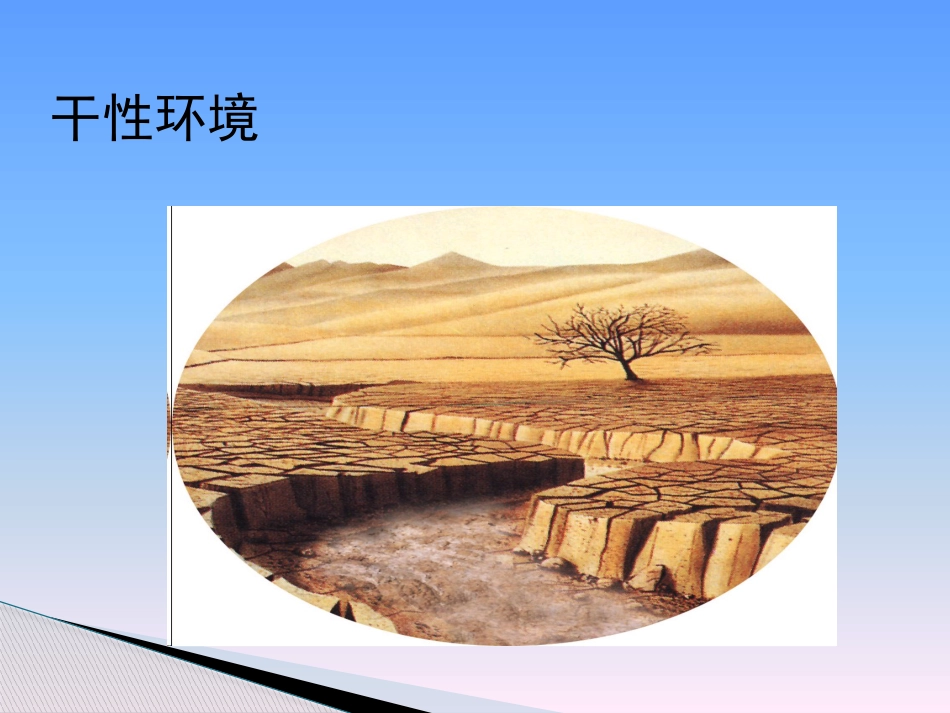 临床医学伤口湿性愈合理论及临床应用_第9页