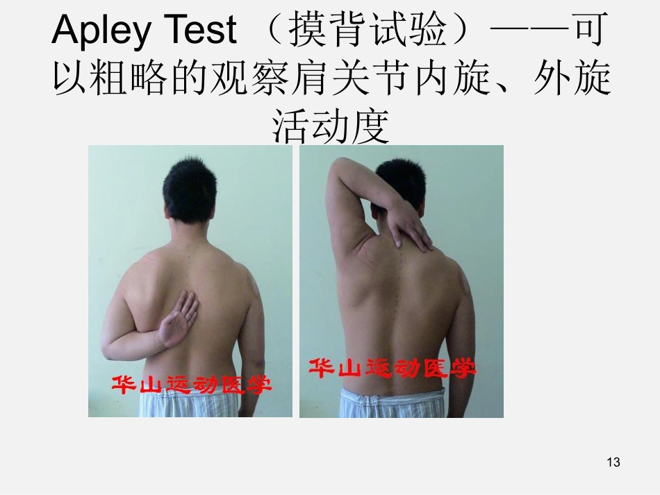 外科学：肩袖损伤诊断与治疗_第13页