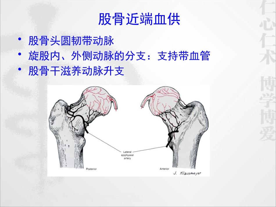 外科学：股骨颈骨折的诊断和治疗翻译_第2页