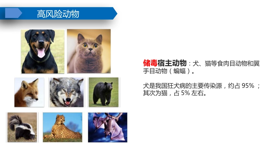 动物致伤伤口的规范处置PPT课件_第11页