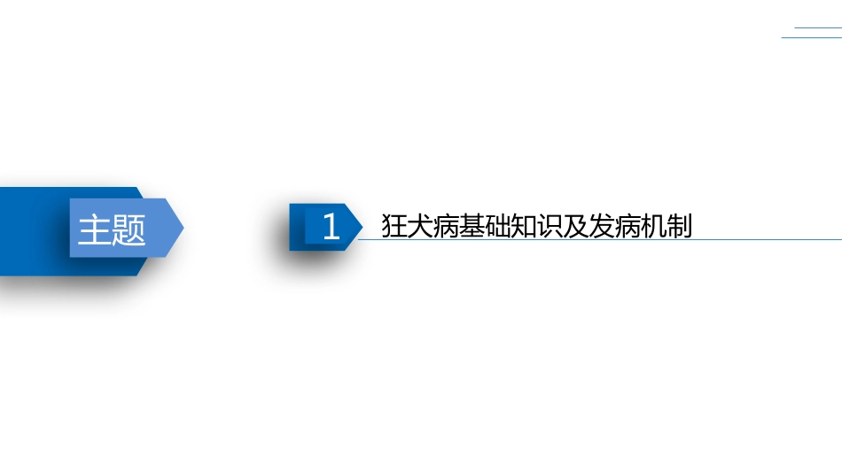 动物致伤伤口的规范处置PPT课件_第3页