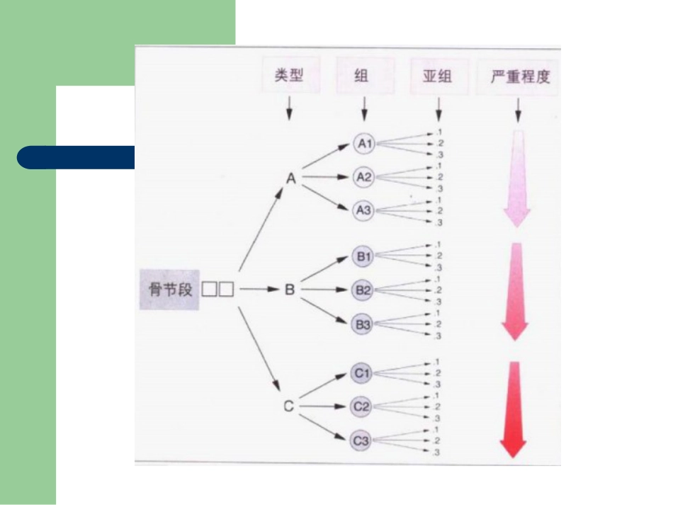 外科学：骨折分型_第3页