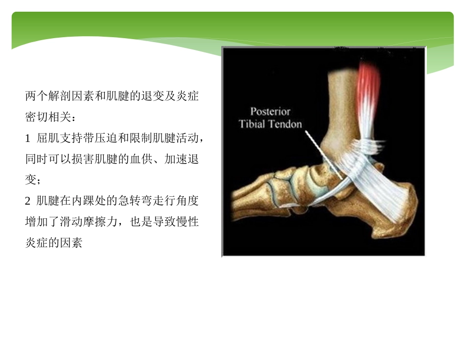 外科学：胫后肌腱功能不全的诊治_第11页