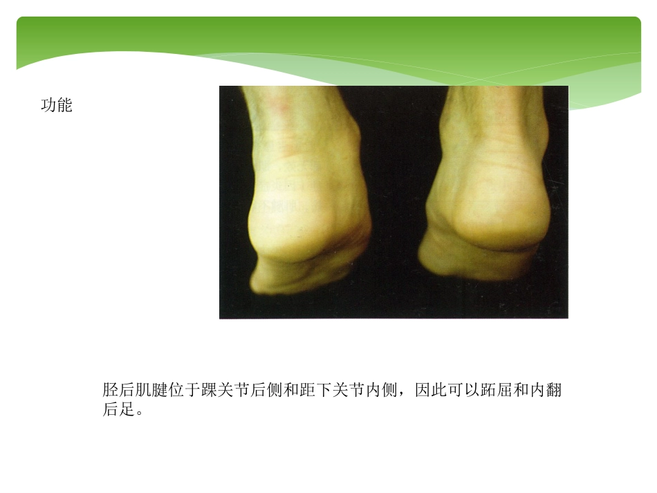 外科学：胫后肌腱功能不全的诊治_第6页