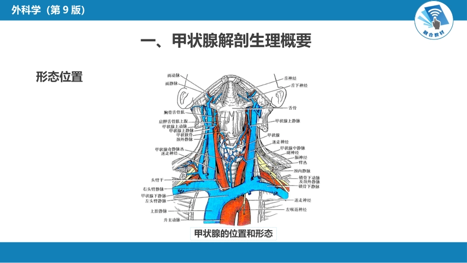 外科学：颈部疾病（甲状腺疾病，甲状旁腺功能亢进的外科治疗）_第5页