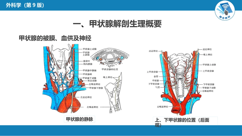 外科学：颈部疾病（甲状腺疾病，甲状旁腺功能亢进的外科治疗）_第6页