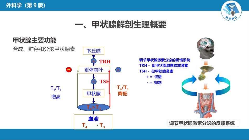 外科学：颈部疾病（甲状腺疾病，甲状旁腺功能亢进的外科治疗）_第9页