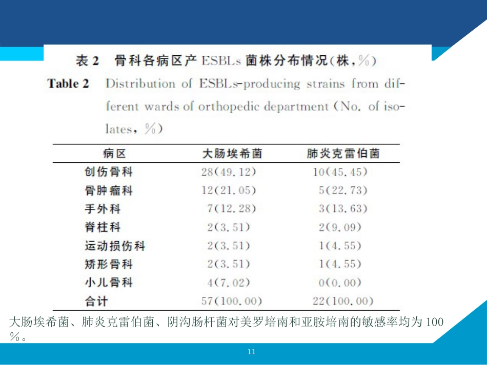 骨科抗菌药物局部使用_第11页