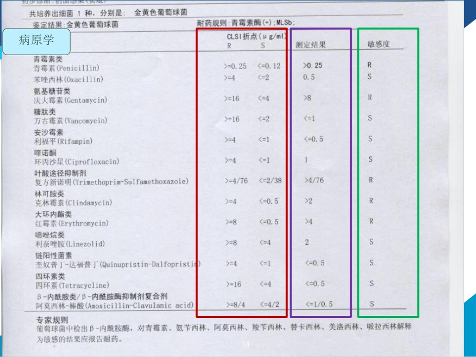 骨科抗菌药物局部使用_第14页