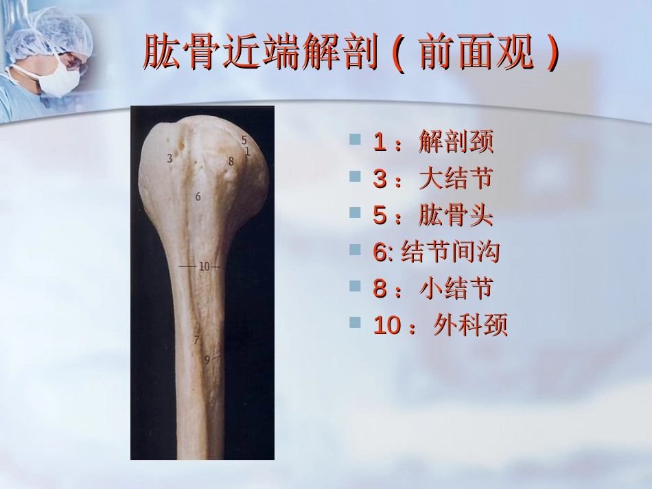 外科学：肱骨近端骨折分型与处理_第7页