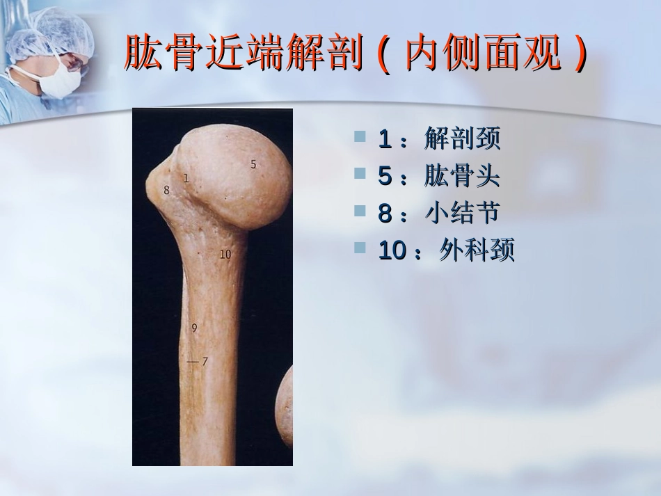 外科学：肱骨近端骨折分型与处理_第8页