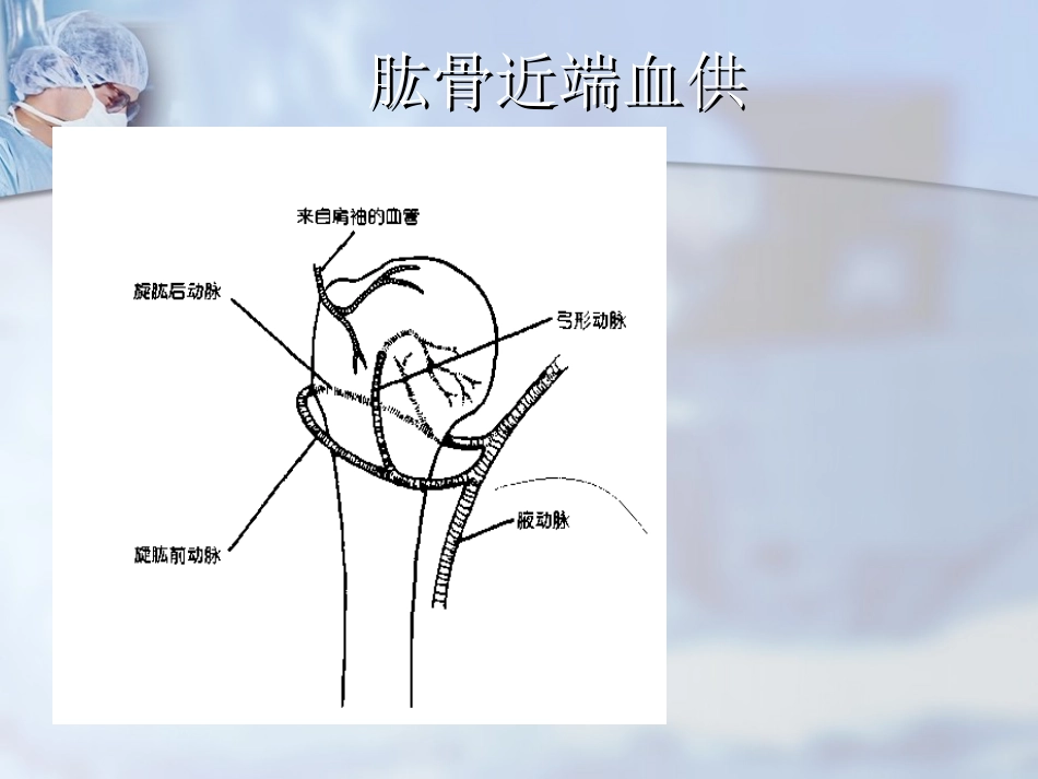 外科学：肱骨近端骨折分型与处理_第9页