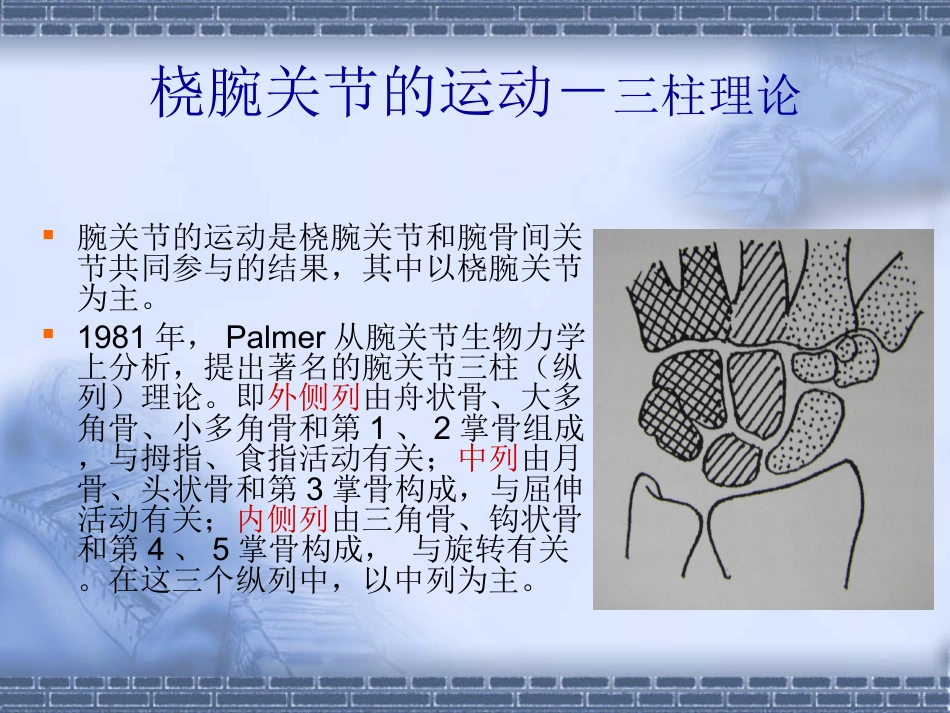 外科学：colles-fracture_第12页