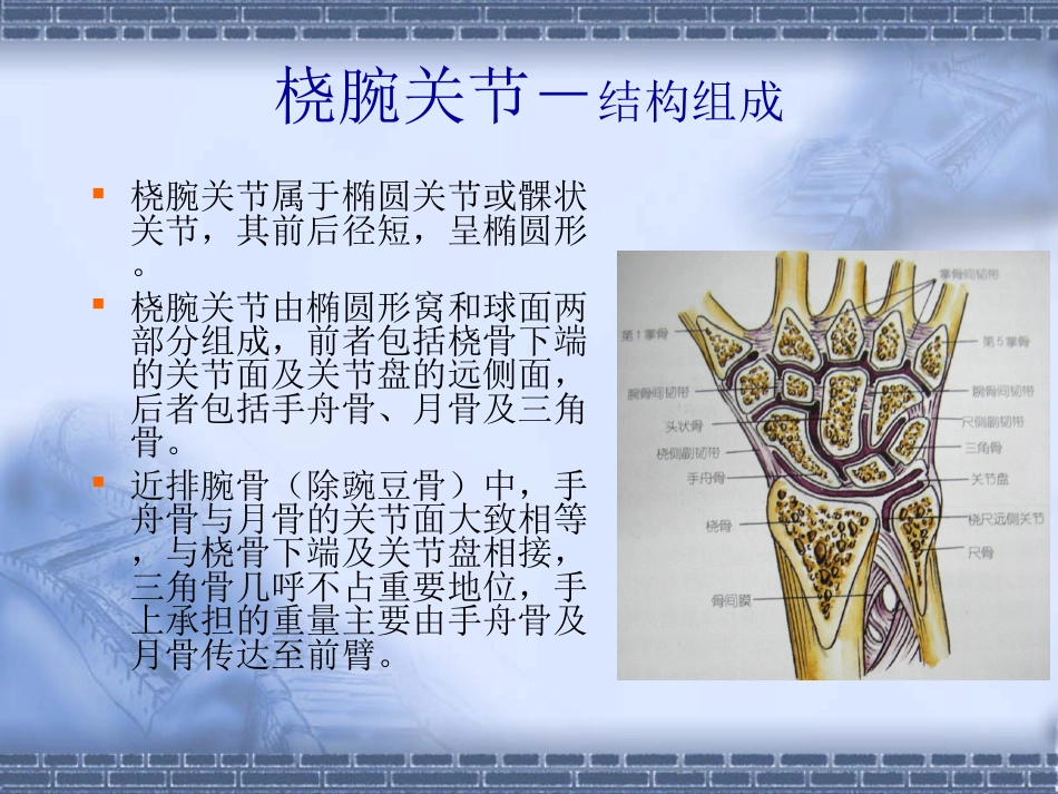外科学：colles-fracture_第5页