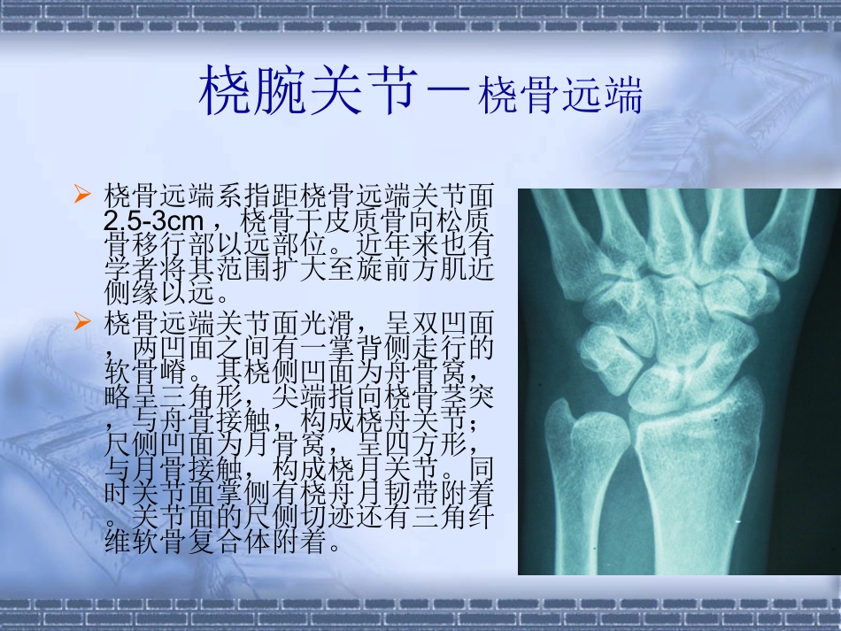 外科学：colles-fracture_第6页