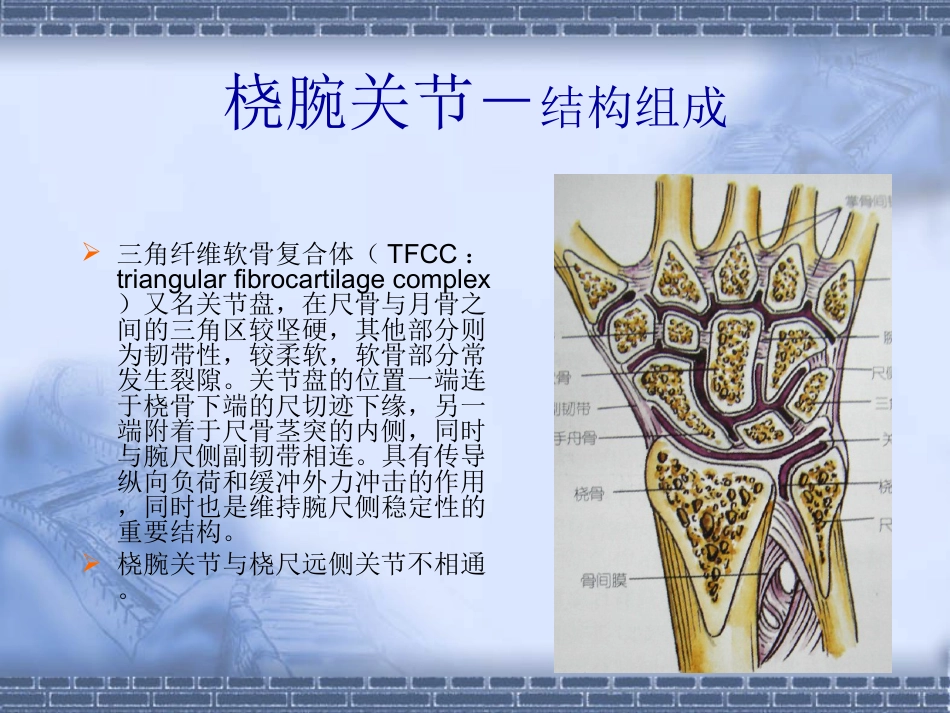 外科学：colles-fracture_第8页