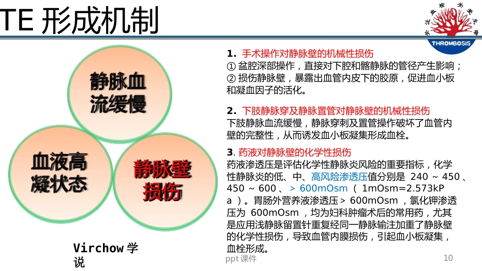 VTE预防与管理--ppt课件_第10页