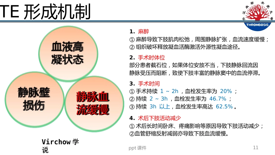 VTE预防与管理--ppt课件_第11页