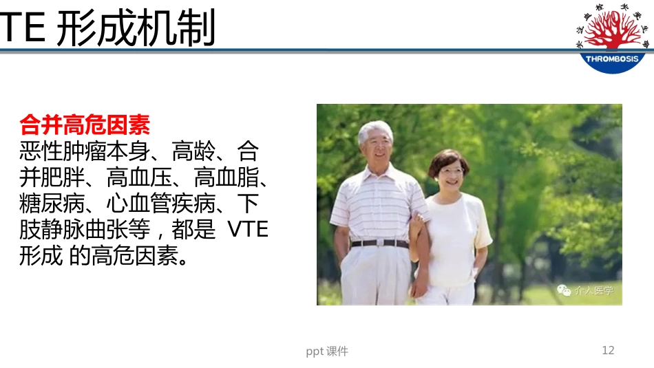 VTE预防与管理--ppt课件_第12页