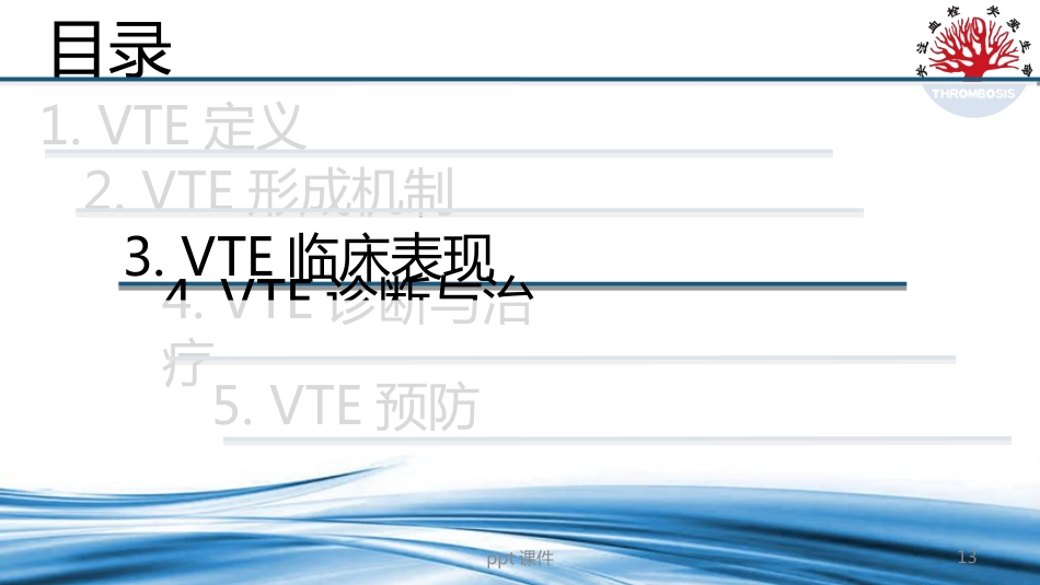 VTE预防与管理--ppt课件_第13页