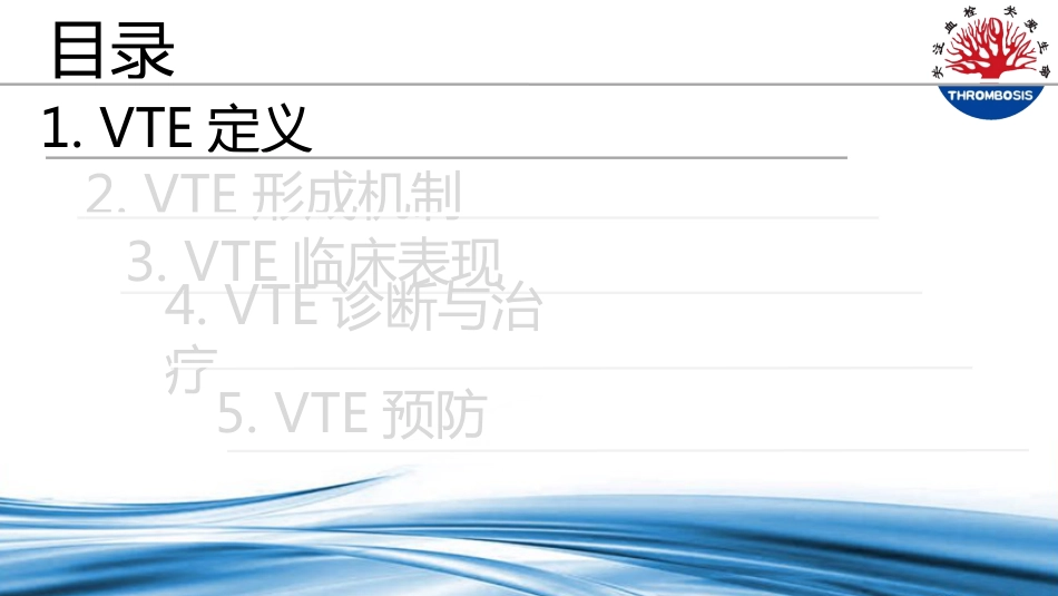 VTE预防与管理--ppt课件_第6页
