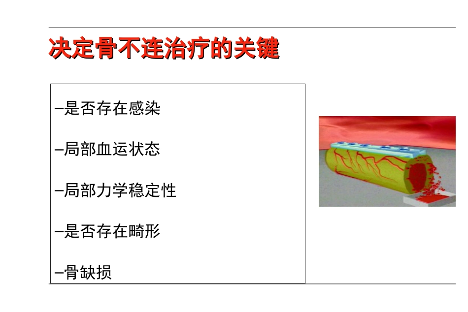 外科学：AO-骨不连和骨延迟愈合_第13页