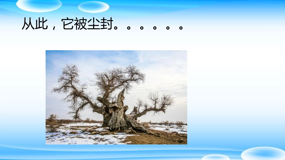 外科学：肘关节Y形成形术_第13页