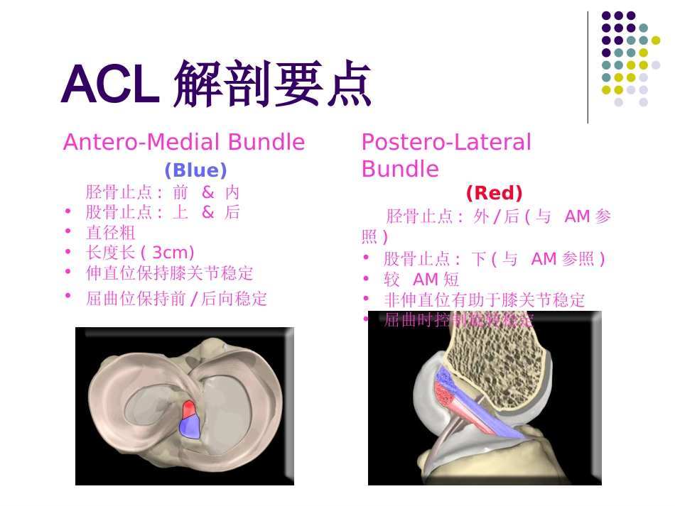 外科学：膝关节前交叉韧带损伤诊断与治疗_第6页