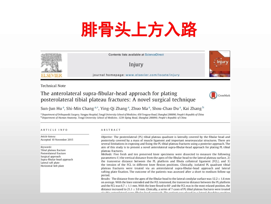 外科学：胫骨平台后外侧4种入路解剖观察_第8页