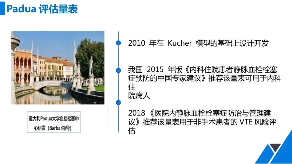 VTE风险评估工具及应用_第11页