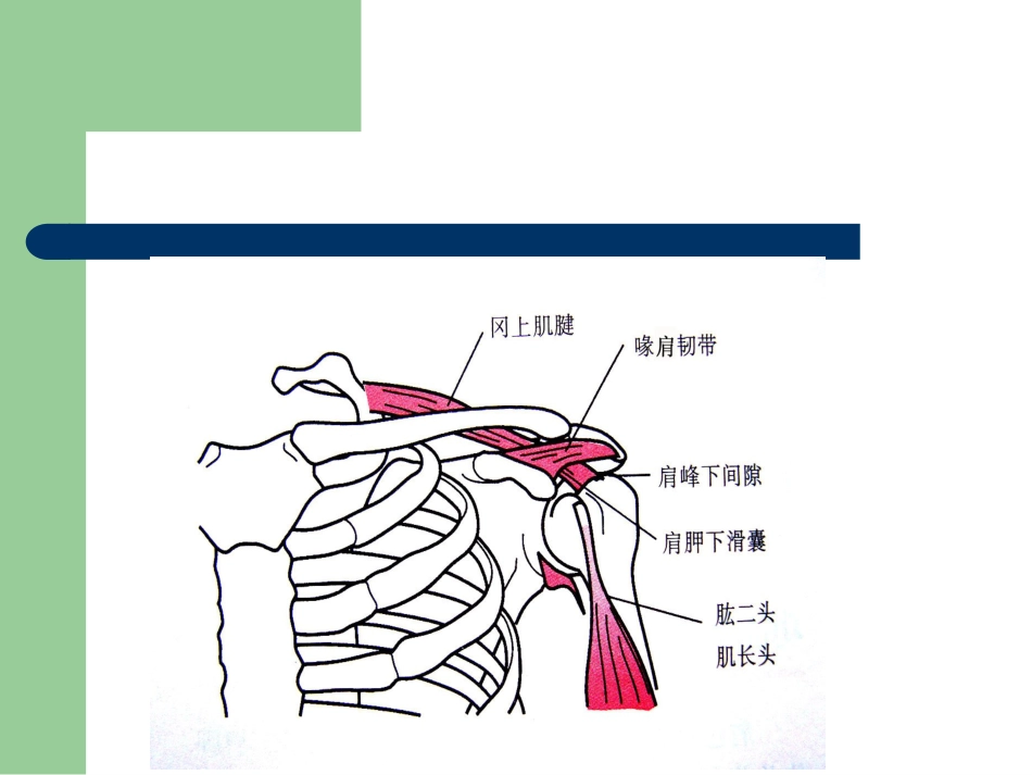 外科学：肩峰下撞击综合征_第5页