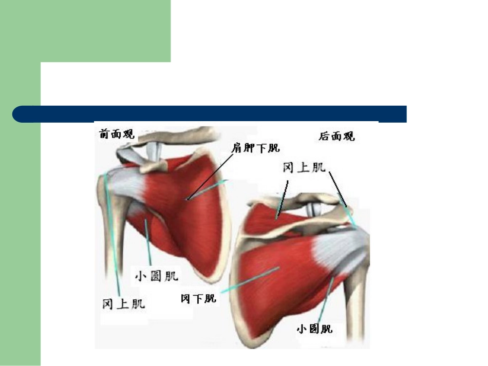 外科学：肩峰下撞击综合征_第7页