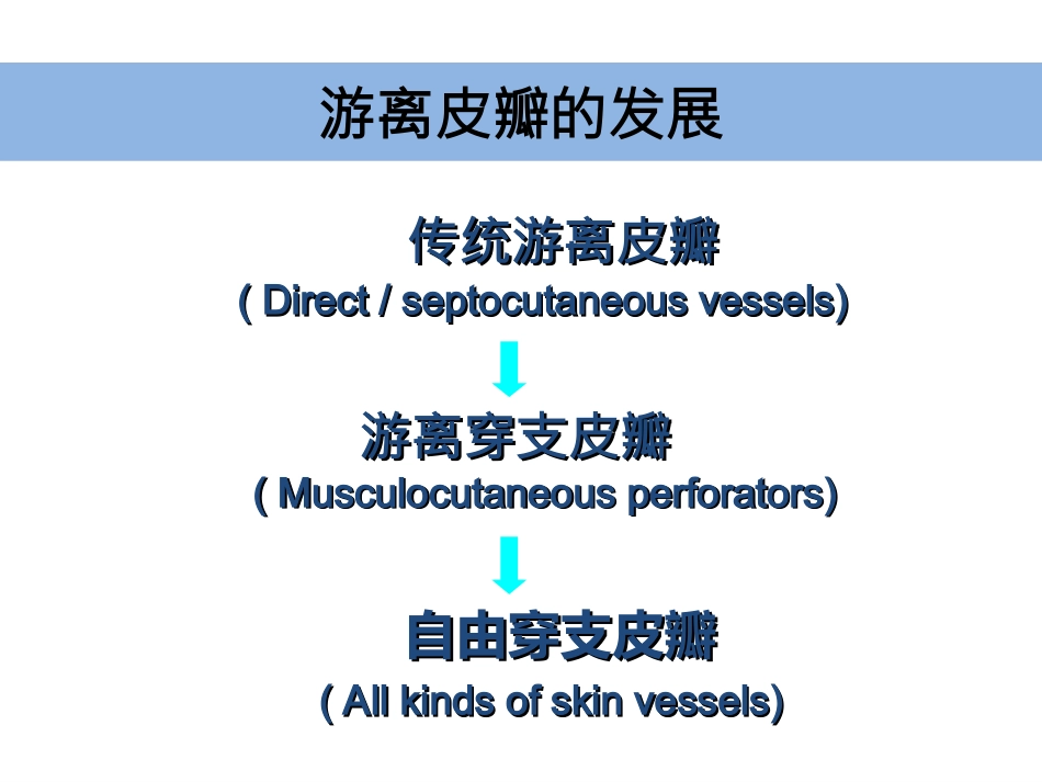 外科学：小腿穿支皮瓣的临床应用_第2页