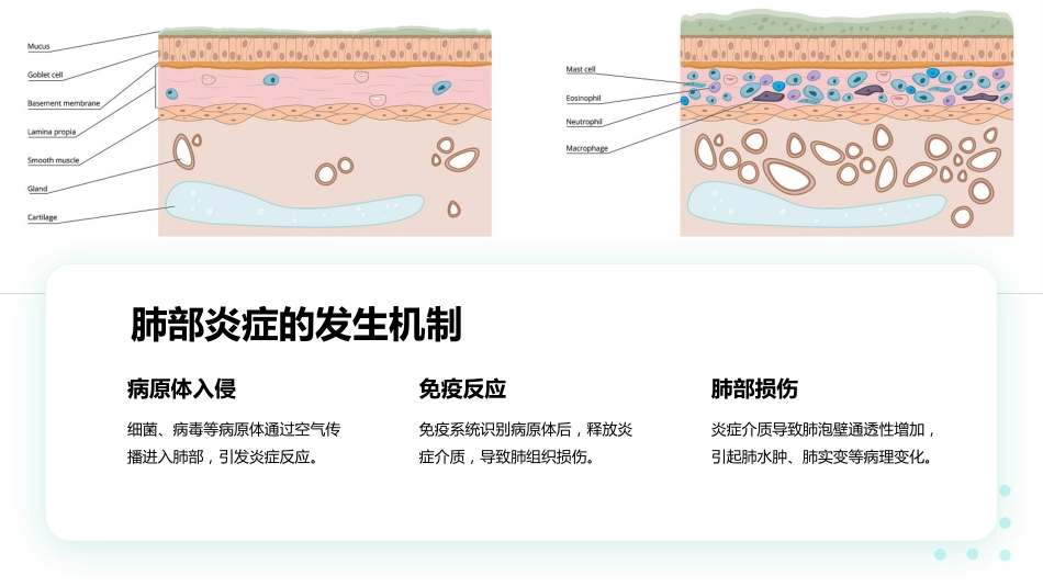 重症肺炎疑难病例讨论ppt_第8页