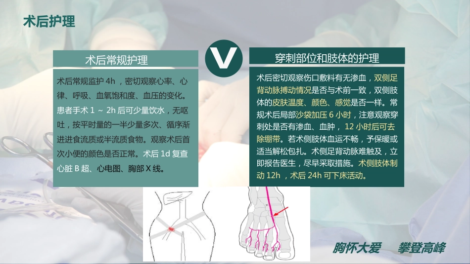 一例卵圆孔未闭患者的个案护理_第15页