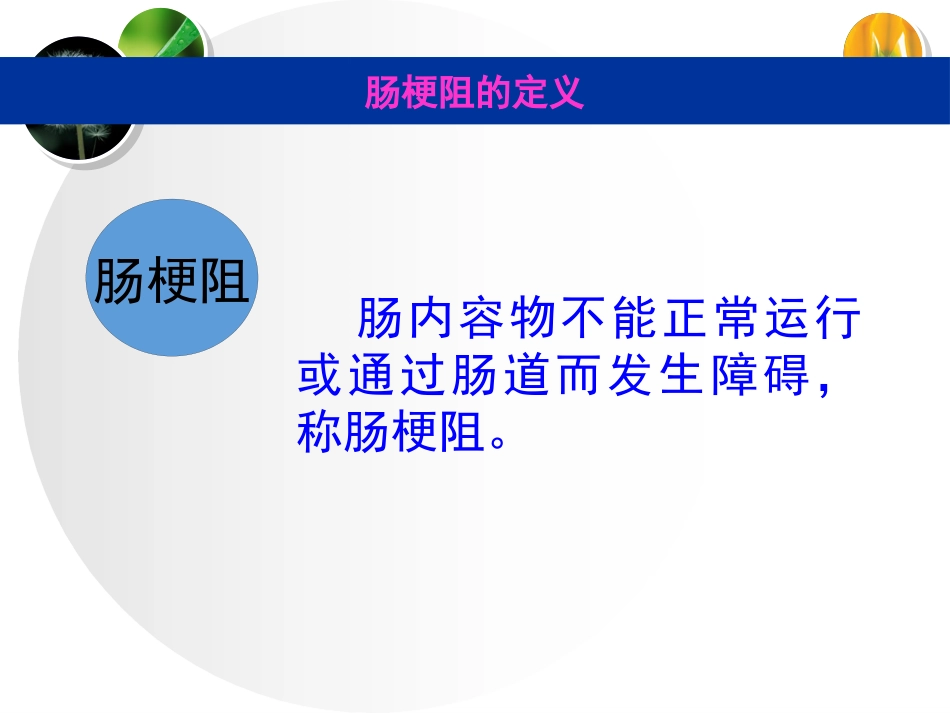 肠梗阻病人的护理与急救_第2页