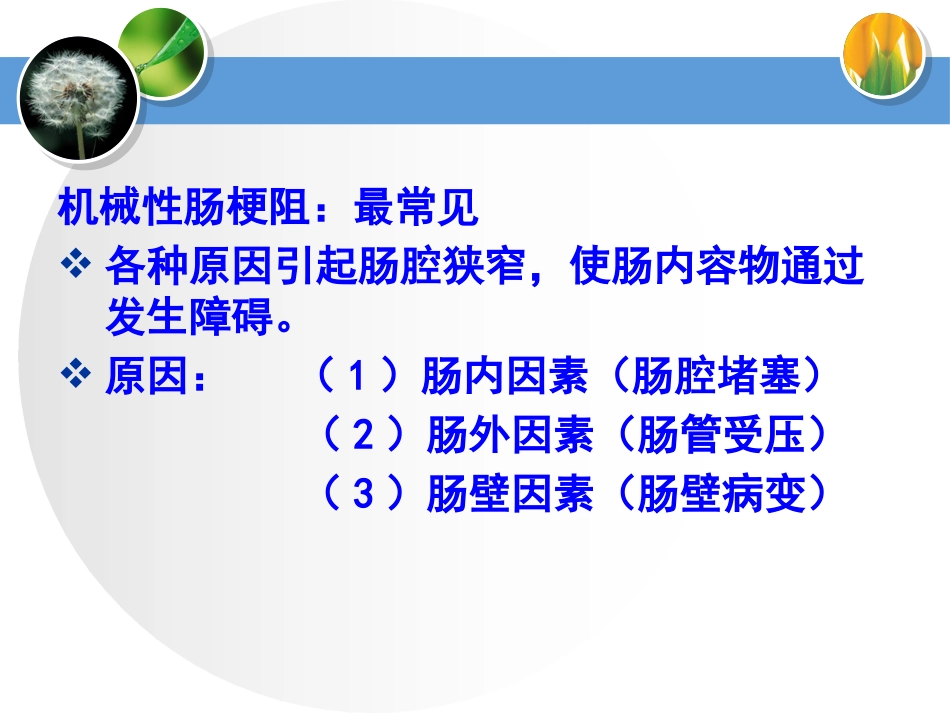 肠梗阻病人的护理与急救_第6页