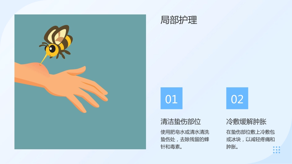蜂蛰伤的急救与护理_第12页