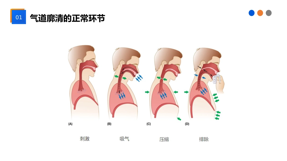 气道廓清技术在ICU患者中的应用_第3页