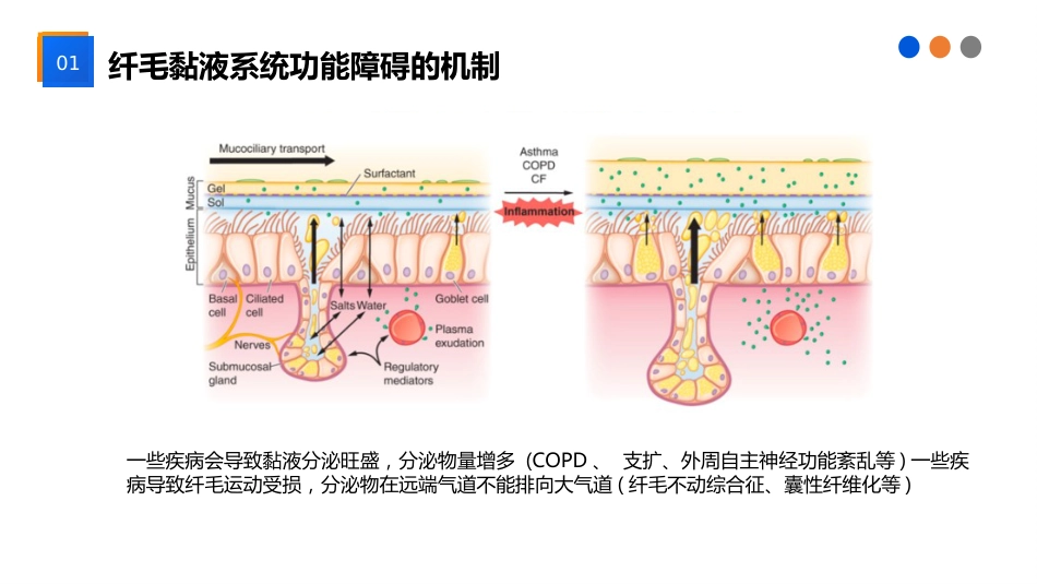 气道廓清技术在ICU患者中的应用_第5页