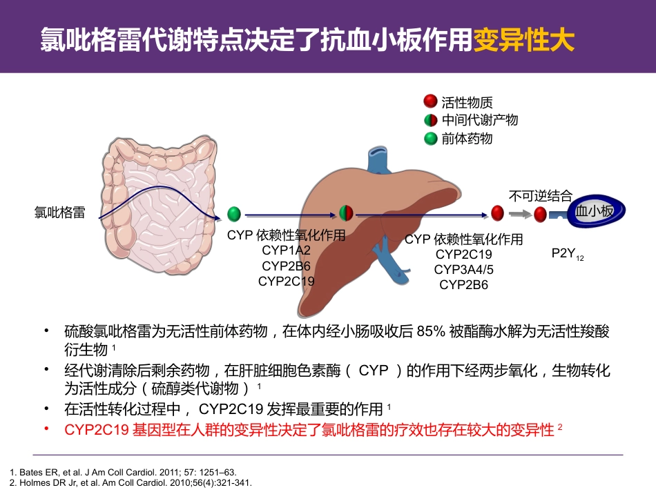 急性冠脉综合征(ACS)患者用药咨询及长期用药管理_第15页