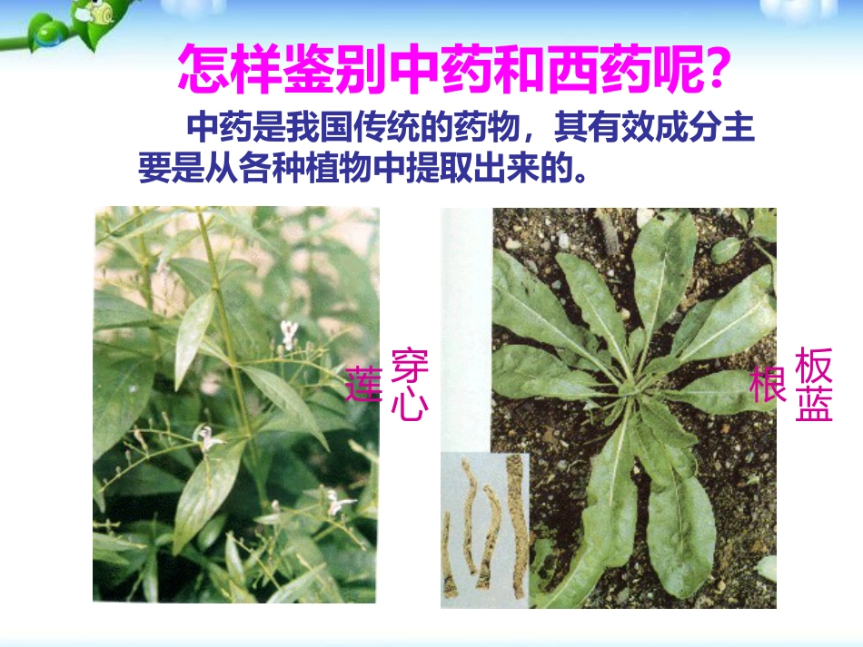 《用药和急救》PPT课件_第15页