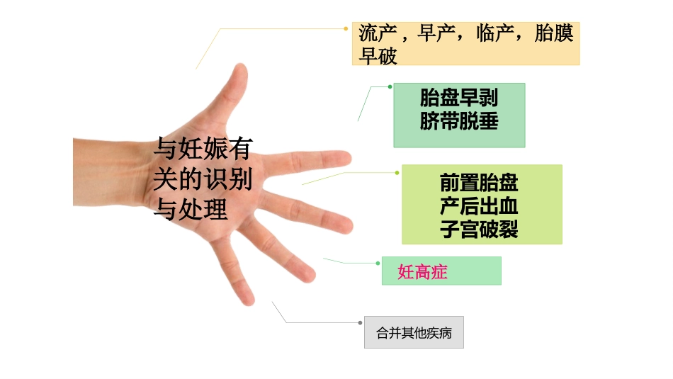 产科急诊及急救_第2页