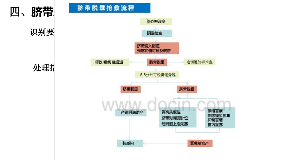 产科急诊及急救_第7页